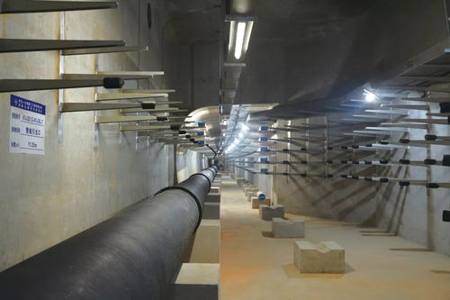 喜訊 公司四項目榮膺中國交建優質工程獎，彰顯市政建設卓越實力